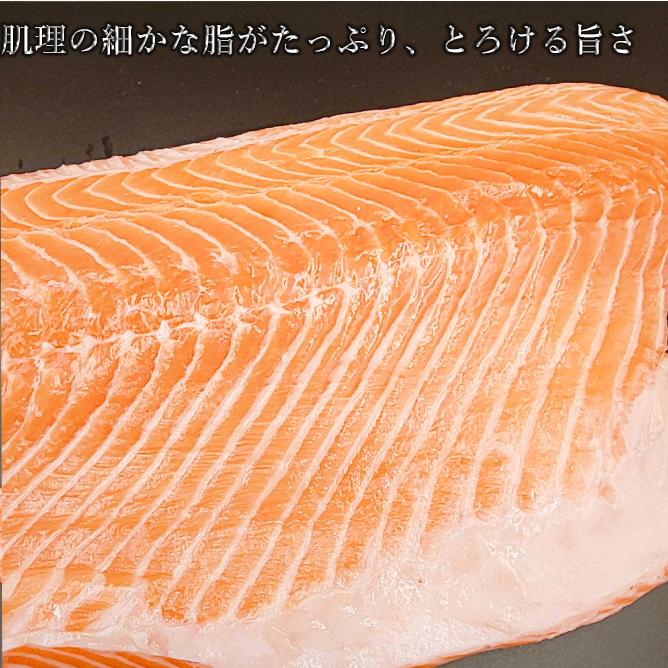 限定部位 極上 とろサーモン 使用 400g〜500ｇ ギフト さけ 鮭  サーモン 鮮魚 寿司 刺身 さしみ プレゼント 50代 60代70代 80代 ギフト 2025 お歳暮 |  | 02