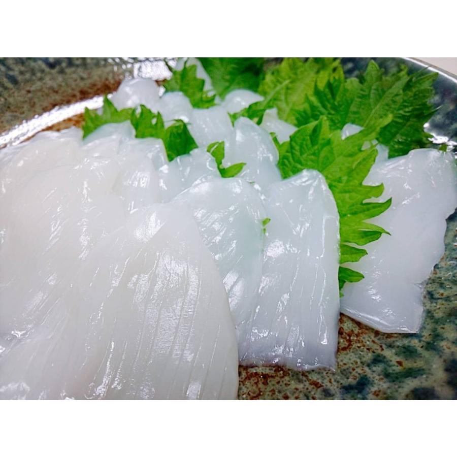 イカ 最安値 寿司ネタ 紋甲イカスライス 約10g × 20枚 寿司用 お刺身 手巻き 寿司 すし スシ 鮨 sushi もんごういか モンゴウイカ 紋 甲 スライス :1126505:まぐろ屋のおもてなし - 通販 - Yahoo!ショッピング イカ 最安値 寿司ネタ 紋甲イカスライス 約10g × 20枚 寿司用 お刺身 手巻き 寿司 すし スシ 鮨 sushi もんごういか モンゴウイカ 紋 甲 スライス :1126505:まぐろ屋のおもてなし - 通販 - Yahoo!ショッピング