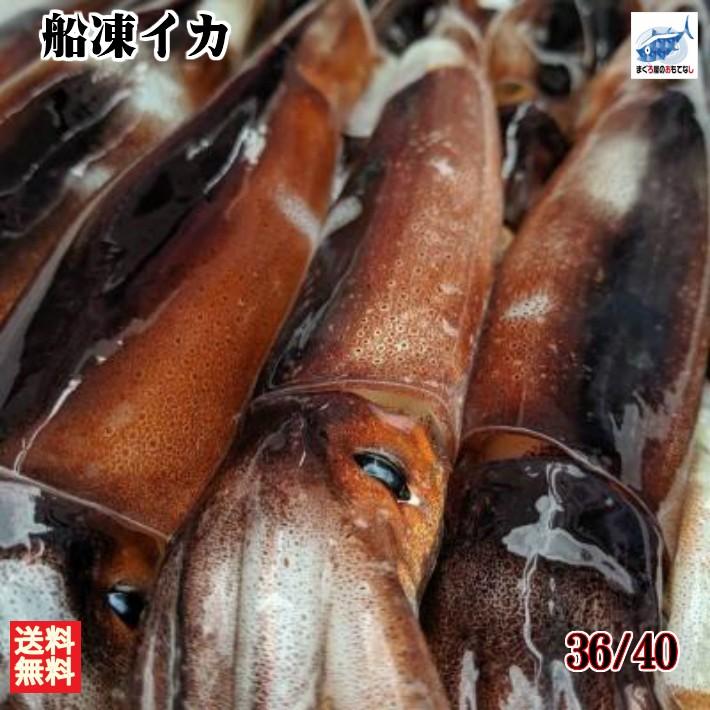 いか 最安値 送料無料 業務用 船凍スルメイカ IQF 36/40 約7.5kg (生食可) するめいか 冷凍 :ika3640:まぐろ屋のおもてなし - 通販 - Yahoo!ショッピング いか 最安値 送料無料 業務用 船凍スルメイカ IQF 36/40 約7.5kg (生食可) するめいか 冷凍 :ika3640:まぐろ屋のおもてなし - 通販 - Yahoo!ショッピング