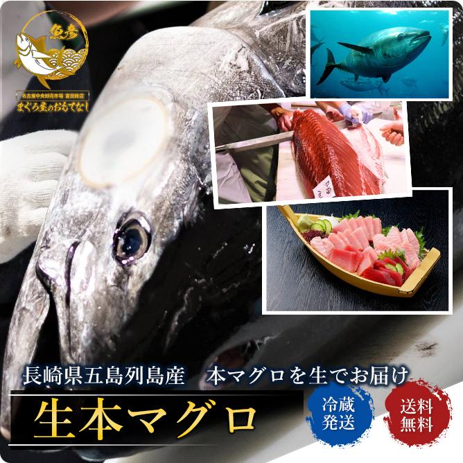 本マグロ 生マグロ 長崎県五島列島産 約500g 冷蔵 本鮪 まぐろ 刺身 生本鮪 寿司 22 新年 新春 プレゼント Namasakimaguro22 まぐろ屋のおもてなし 通販 Yahoo ショッピング