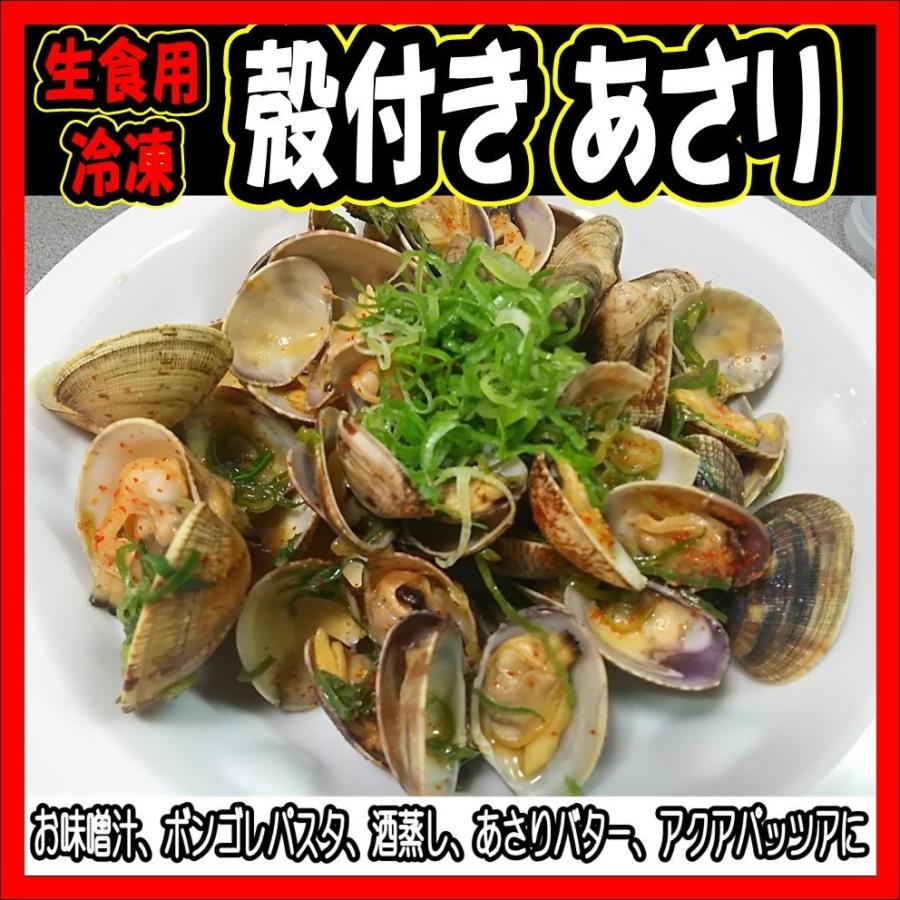 あさり 冷凍 殻付 ５００ｇ×２Ｐ アサリ 最安値 ボイル 生食 業務用 砂抜き済ボイル｜omotenashi2019｜04