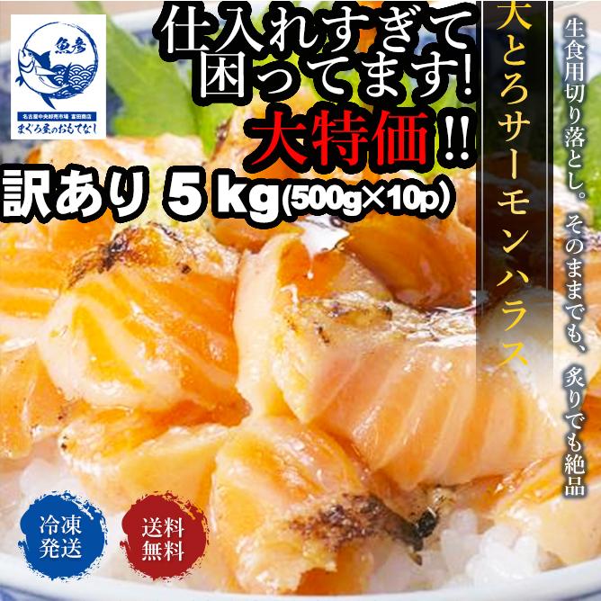 第1位獲得 サーモン 大トロ サーモンハラス 切り落とし お刺身 生食用 訳あり 500ｇ 10p 業務用 店舗用 5kg 限定製作 Altammamfactory Com Jo