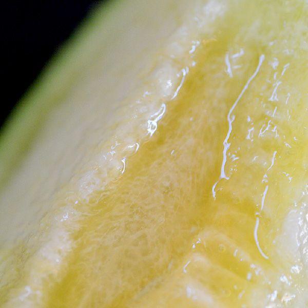 おもてなしギフト 家庭用マスクメロン 名倉メロン農場 メロン職人名倉正司が育てた一木一果の家庭用ギフトのマスクメロン Lサイズ |  | 02