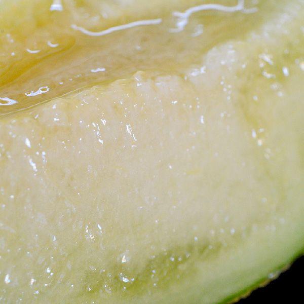 おもてなしギフト 進物用マスクメロン 名倉メロン農場 メロン職人名倉正司が育てた一木一果の進物用ギフトのマスクメロン Sサイズ |  | 03