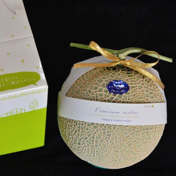 おもてなしギフト 進物用マスクメロン 名倉メロン農場 メロン職人名倉正司が育てた一木一果の進物用ギフトのマスクメロン Mサイズ |  | 01