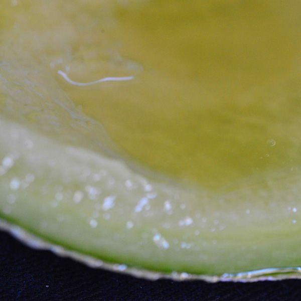 おもてなしギフト 進物用特選マスクメロン 名倉メロン農場 メロン職人名倉正司が育てた一木一果の進物用特選ギフトの結婚記念日マスクメロン Ｍサイズ |  | 04