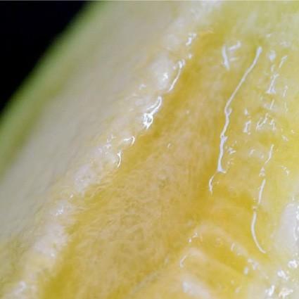 おもてなしギフト　農場カフェ用マスクメロン　名倉メロン農場　メロン職人名倉正司が育てた良品クラスのメロン2玉入り（1.3〜1.5kg） |  | 02