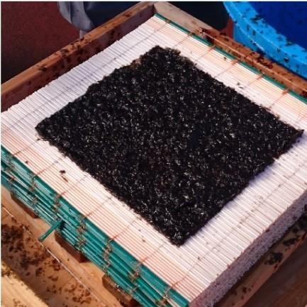 おもてなしギフト 江戸前海苔 行徳の老舗 加藤海苔店の「玄シリーズ」 あさくさ海苔とおつまみ海苔の缶入り食べ比べセット |  | 02