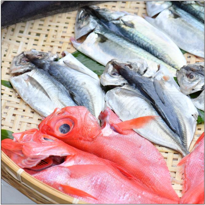 おもてなしギフト 三崎の干物 三浦半島の三崎 うらりのさざえやがお届けする季節の干物 Miura Sazaeya 004 おもてなしギフトショップ 通販 Yahoo ショッピング