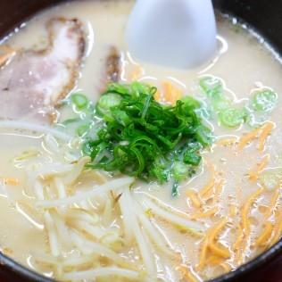 おもてなしギフト ラーメンと焼きそば 辛口注意 広島県三次市の三次唐麺焼 麺製造の江草商店の辛い麺 唐麺（からめん）のラーメンと焼きそば食べ比べセット |  | 03
