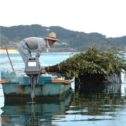 おもてなしギフト　天然うなぎ　四万十川のほとりから四万十屋がお届けする貴重な天然うなぎ　お茶漬用です　2個セット｜omotenashigift｜04