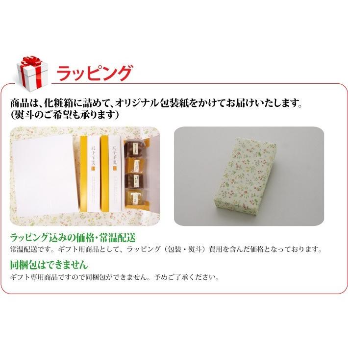 おもてなしギフト 伯方の塩、伊予柑、栗、ゆずのバラエティ豊かな味わい 別子羊羹詰合せ |  | 10