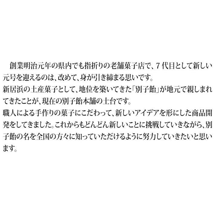 おもてなしギフト 伯方の塩、伊予柑、栗、ゆずのバラエティ豊かな味わい 別子羊羹詰合せ |  | 12