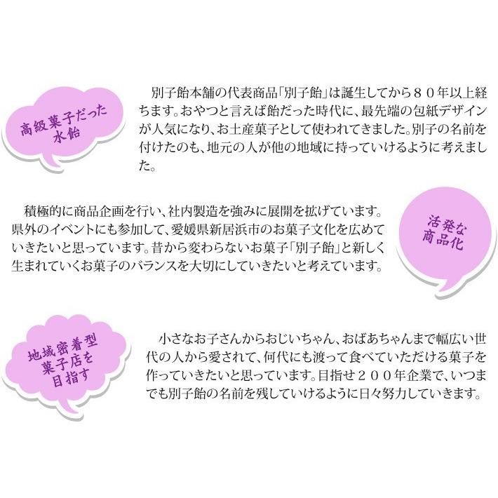おもてなしギフト 伯方の塩、伊予柑、栗、ゆずのバラエティ豊かな味わい 別子羊羹詰合せ |  | 13