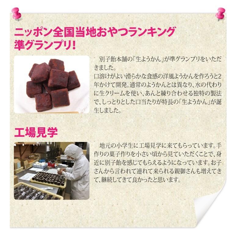 おもてなしギフト　伯方の塩、伊予柑、栗、ゆずのバラエティ豊かな味わい 別子羊羹詰合せ｜omotenashigift｜16