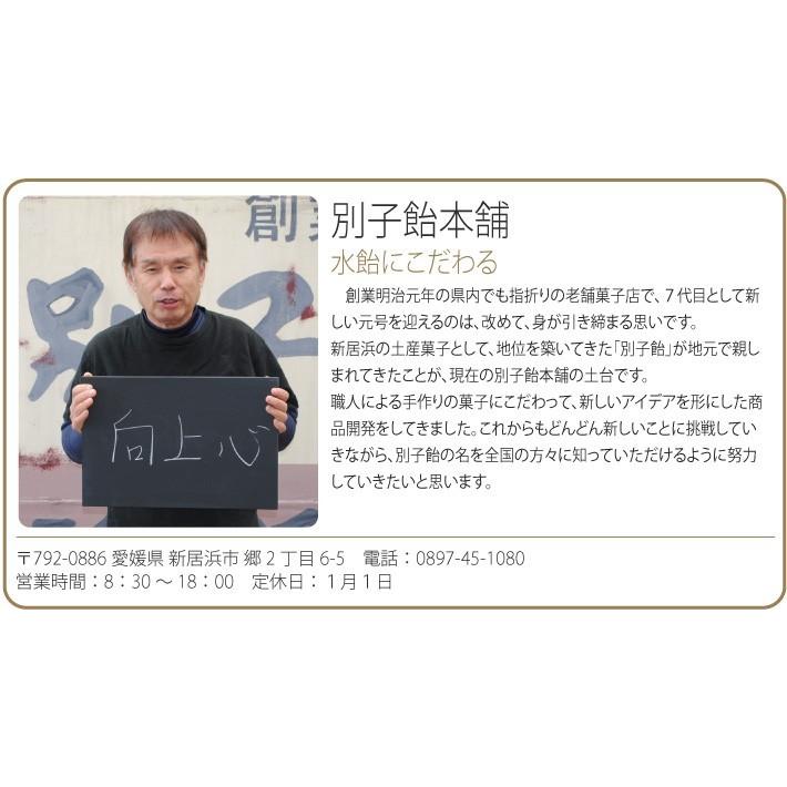 おもてなしギフト 伯方の塩、伊予柑、栗、ゆずのバラエティ豊かな味わい 別子羊羹詰合せ |  | 18