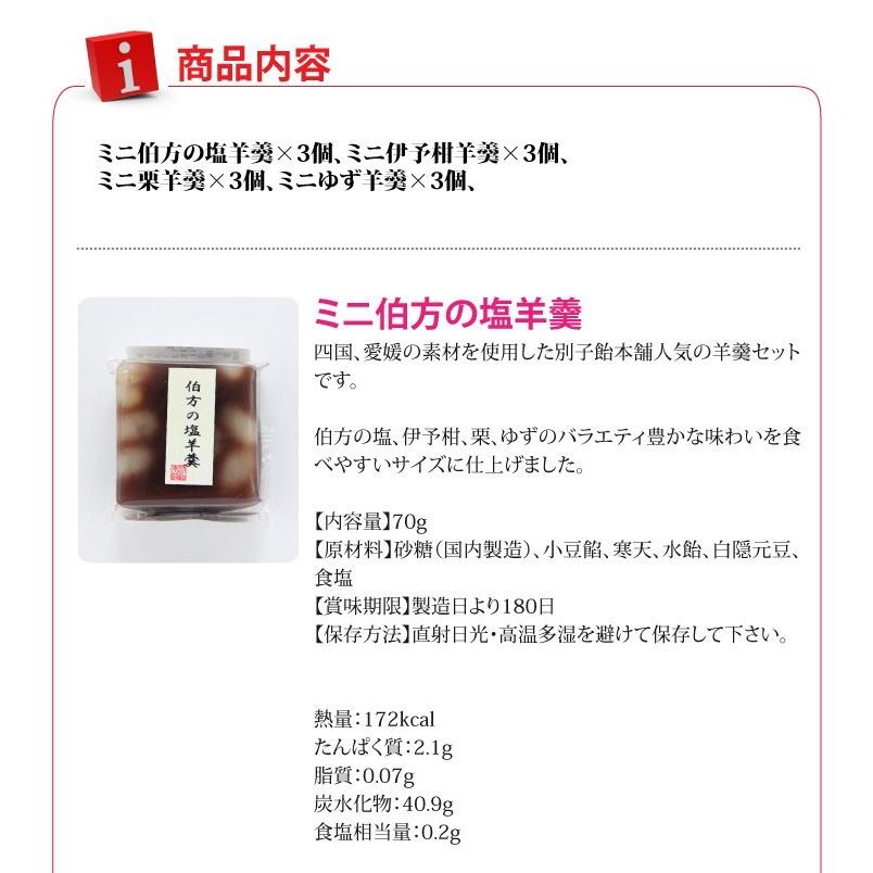 おもてなしギフト 伯方の塩、伊予柑、栗、ゆずのバラエティ豊かな味わい 別子羊羹詰合せ |  | 06
