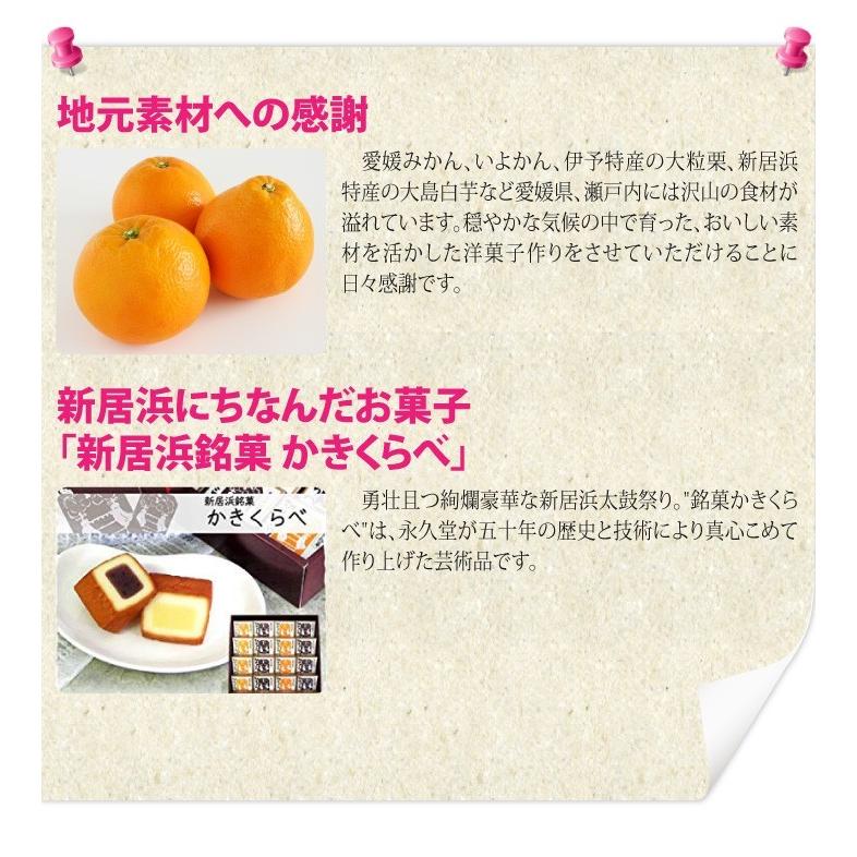 愛媛の果実をぎゅっと凝縮 永久堂のちゅるちゅるゼリー 4種セット |  | 14