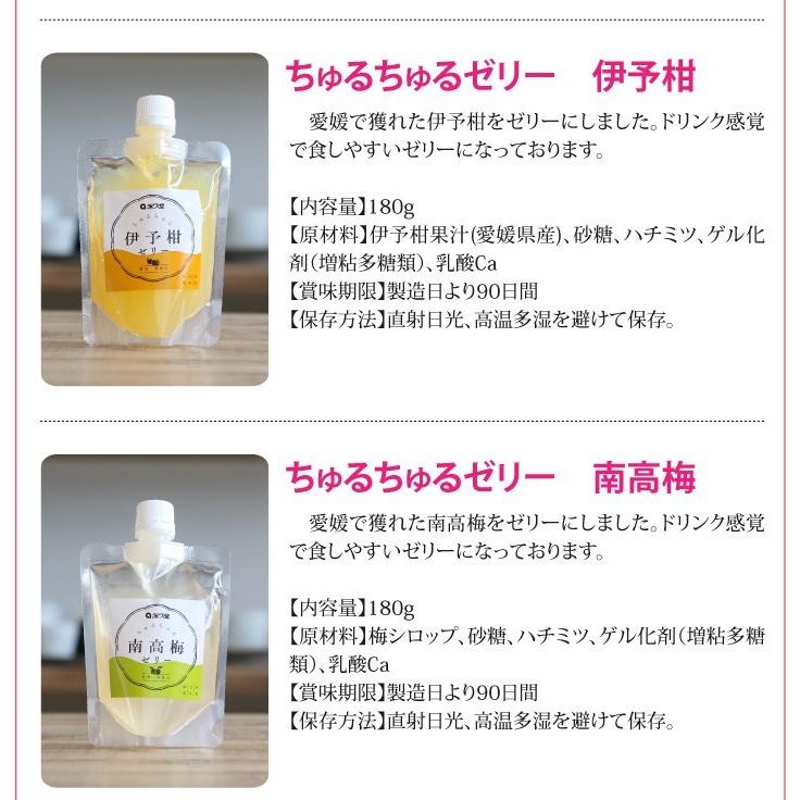 愛媛の果実をぎゅっと凝縮 永久堂のちゅるちゅるゼリー 4種セット |  | 07