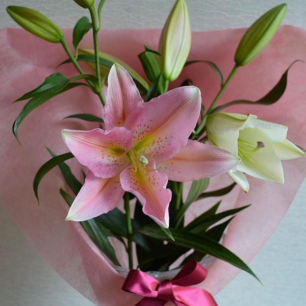 おもてなしギフト お祝いのユリ 「山崎スマイルリリー」（Ａ） ユリ農家の山崎農園が厳選したユリをお届け 受け取った方の笑顔を引き出すユリです |  | 01