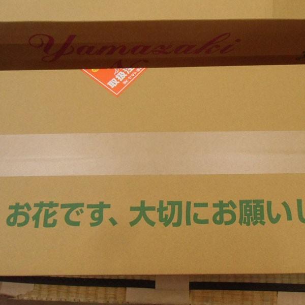おもてなしギフト お祝いのユリ 「山崎スマイルリリー」（C） ユリ農家の山崎農園が厳選したユリをお届け 受け取った方の笑顔を引き出すユリです |  | 05