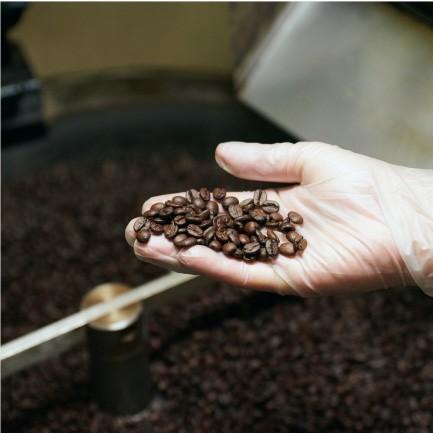 おもてなしギフト コーヒー豆 マウンテンコーヒーの「山」からイメージ