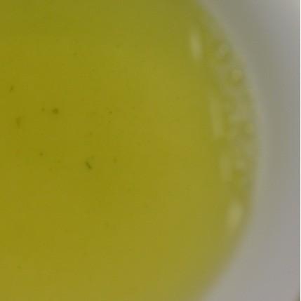 おもてなしギフト お茶 日本茶専門店 茶井オリジナル 黒船茶セット（３種５本） |  | 05