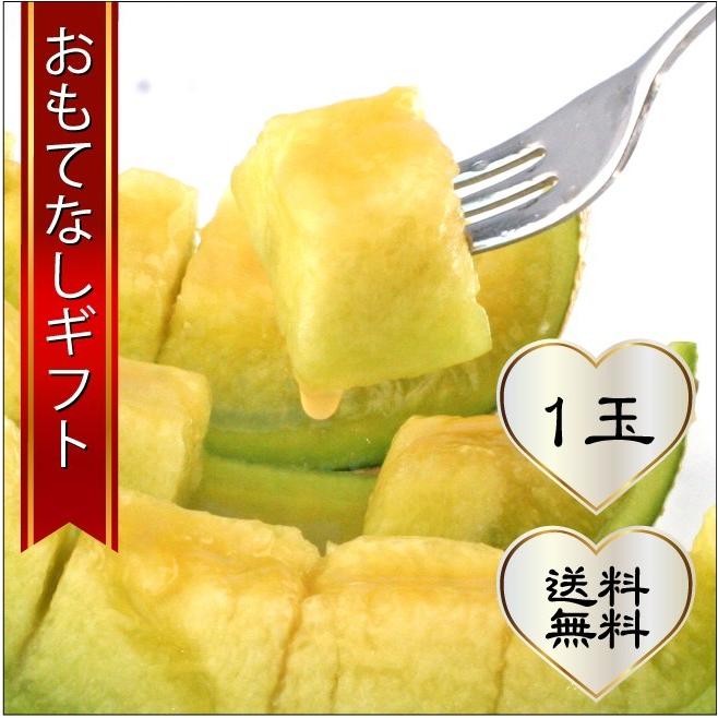 おもてなしギフト マスクメロン 日本茶専門店 茶井が選んだ三浦半島の津久井浜の温室メロン（ＬＬサイズ １玉入り） | 