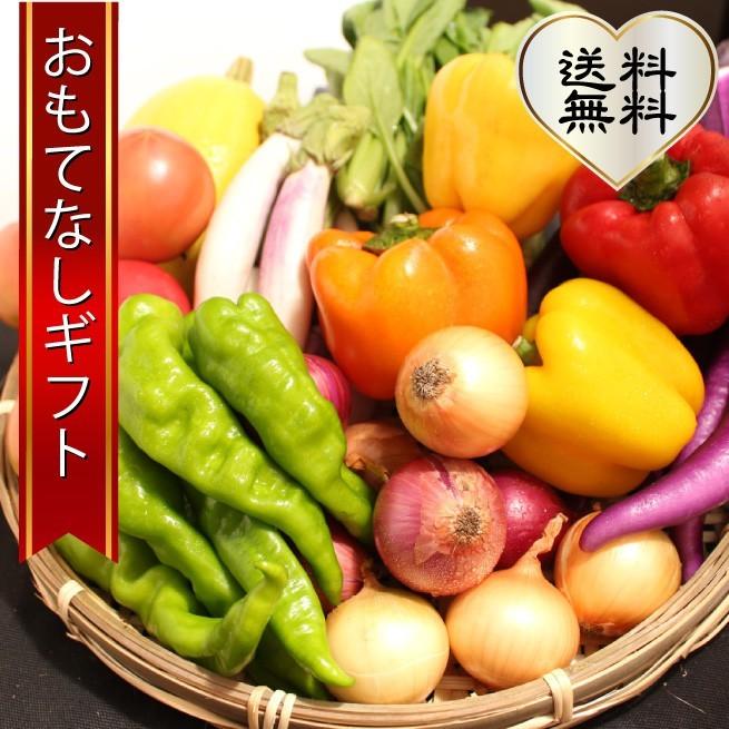 三浦野菜セット 三浦半島の畑で作られた野菜の７種セット 2〜3人用 おもてなしギフト | 
