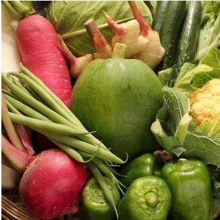 三浦野菜セット 三浦半島の畑で作られた野菜の７種セット 2〜3人用 おもてなしギフト |  | 01