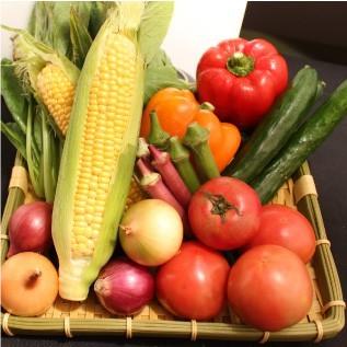 三浦野菜セット 三浦半島の畑で作られた野菜の７種セット 2〜3人用 おもてなしギフト |  | 03