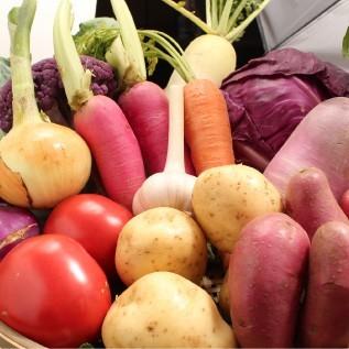 三浦野菜セット 三浦半島の畑で作られた野菜の７種セット 2〜3人用 おもてなしギフト |  | 04