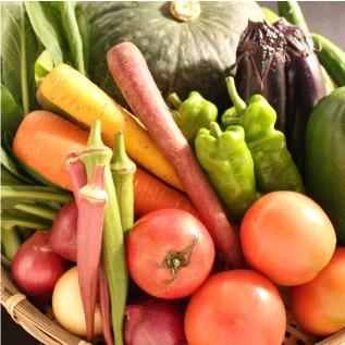 三浦野菜セット 三浦半島の畑で作られた野菜の７種セット 2〜3人用 おもてなしギフト |  | 05