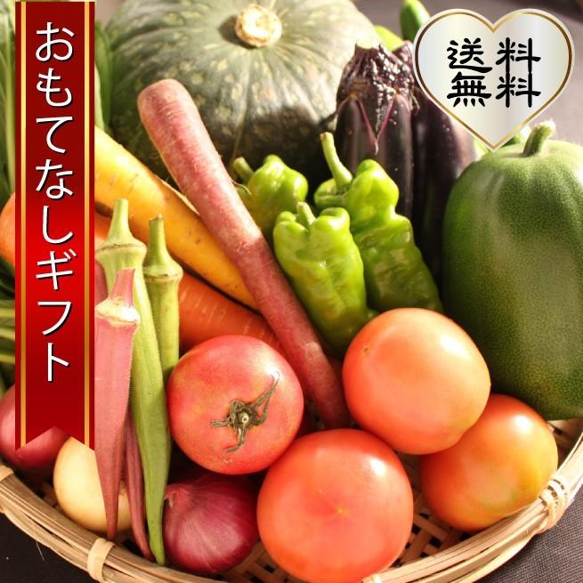 三浦野菜セット 三浦半島の畑で作られた野菜の７種セット 4〜5人用 おもてなしギフト | 