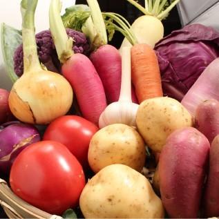 三浦野菜セット 三浦半島の畑で作られた野菜の１０種セット 2〜3人用 おもてなしギフト |  | 04