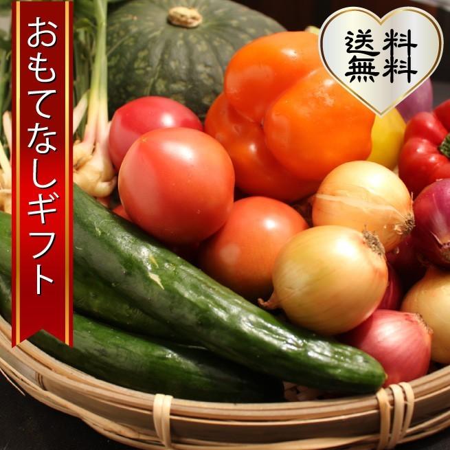 三浦野菜セット 三浦半島の畑で作られた野菜の１０種セット 4〜5人用 おもてなしギフト | 