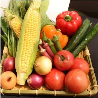 三浦野菜セット 三浦半島の畑で作られた野菜の１０種セット 4〜5人用 おもてなしギフト |  | 03