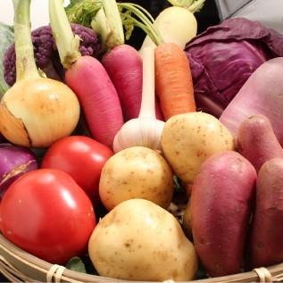 三浦野菜セット 三浦半島の畑で作られた野菜の１０種セット 4〜5人用 おもてなしギフト |  | 04