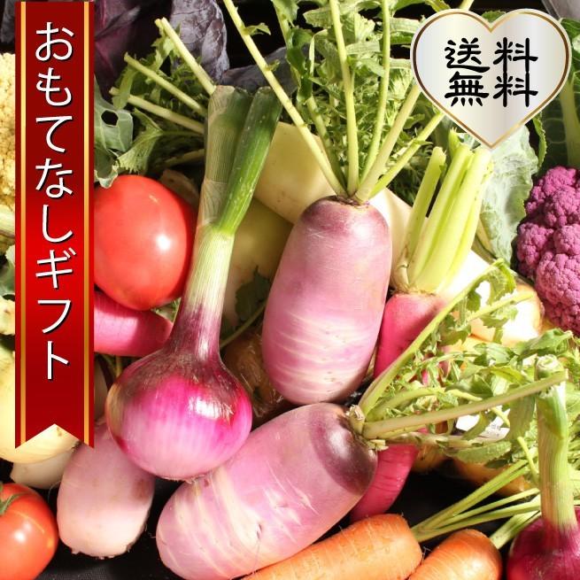 三浦野菜セット 三浦半島の畑で作られた野菜の１２種セット 2〜3人用 おもてなしギフト | 