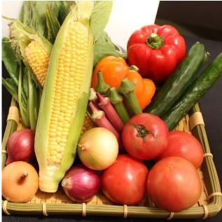三浦野菜セット 三浦半島の畑で作られた野菜の１２種セット 2〜3人用 おもてなしギフト |  | 03