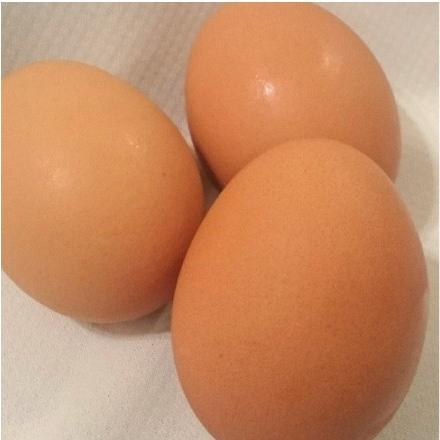 たまご 横須賀 岩沢ポートリー 飼い方にこだわり餌にこだわった姫様のたまご（6個入り×2）とプリンと厚焼玉子セット おもてなしギフト |  | 03