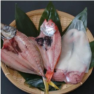 山陰近海・沖合の干物 米子がじゅまるの獲って新鮮な状態で作った干物セット（A） おもてなしギフトお試しセット |  | 01