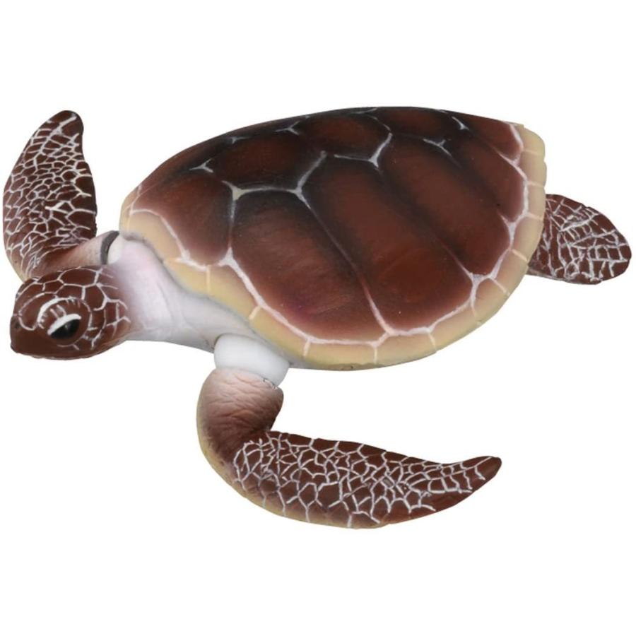アニア クジラアイランド Clubpuntanegra Org Pe