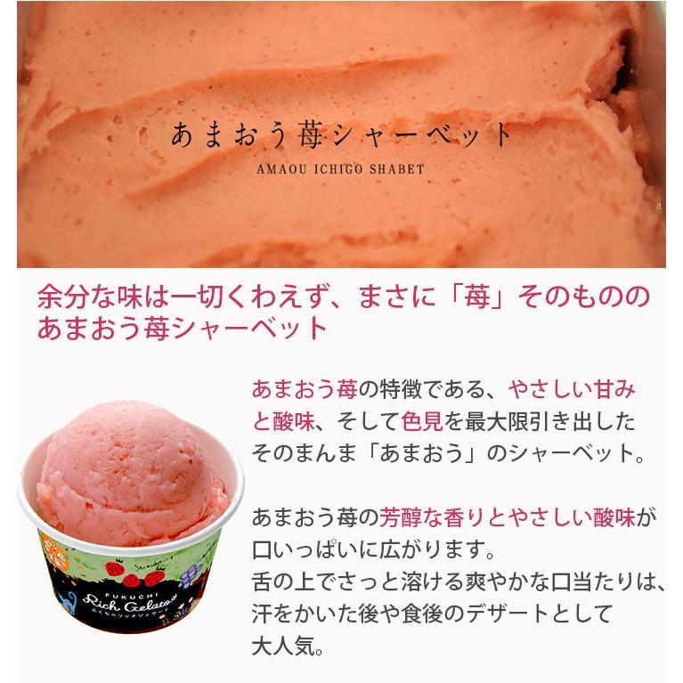 ふくち リッチジェラート 3種のあまおう 苺クリームチーズ 苺みるく 苺シャーベット 合計6個 無香料 無着色 Fukuchi Jelato6a 表参道通販クラブ 通販 Yahoo ショッピング