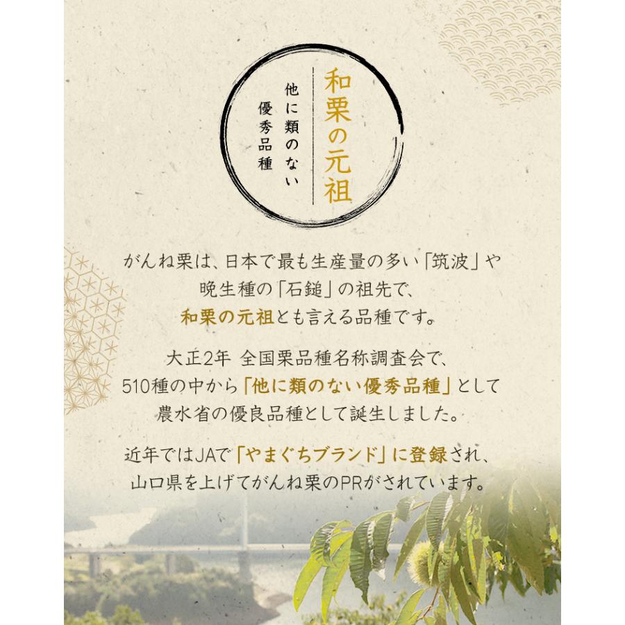 パウンドケーキ がんね栗の渋皮煮入 パウンドケーキ 煌koh 和三盆とラム酒の香りが格別の最上級品 岸根栗 Ganne Kuri Cake01 表参道通販クラブ 通販 Yahoo ショッピング