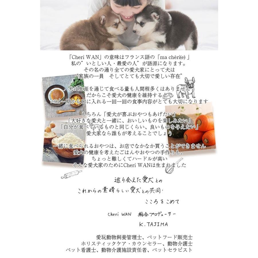 玄米クラッカー 犬用無添加国産おやつ ネコポス配送 Genmai Cracker1 表参道通販クラブ 通販 Yahoo ショッピング