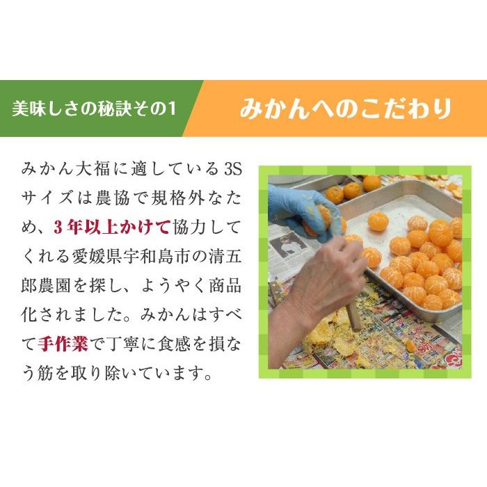 一福百果 まるごとみかん大福 6個入り 独特な 愛媛県今治にある和菓子屋 清光堂 のし対応可