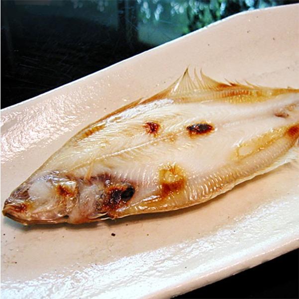 日本海厳選地魚一夜干「一日漁」吉祥天(きっしょうてん) 甘鯛・のどぐろ・白いか(またはするめいか)・かれい 岡富商店 のし対応可