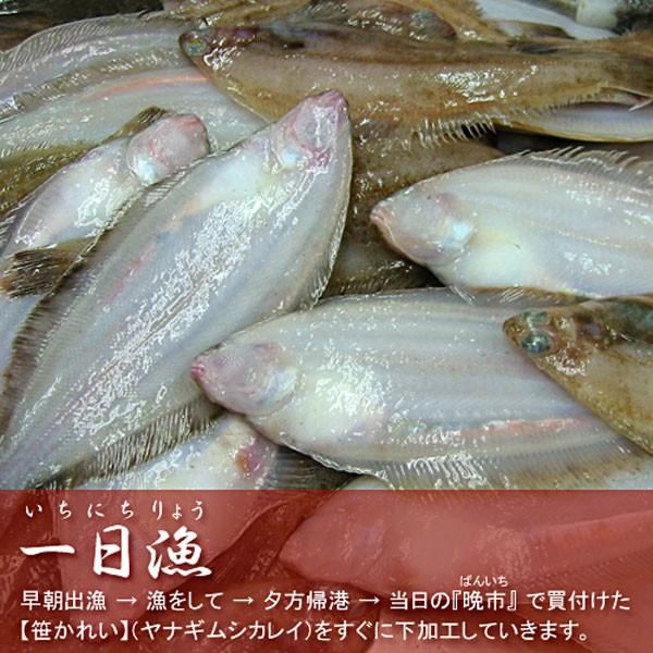 日本海厳選地魚一夜干「一日漁」吉祥天(きっしょうてん) 甘鯛・のどぐろ・白いか(またはするめいか)・かれい 岡富商店 のし対応可