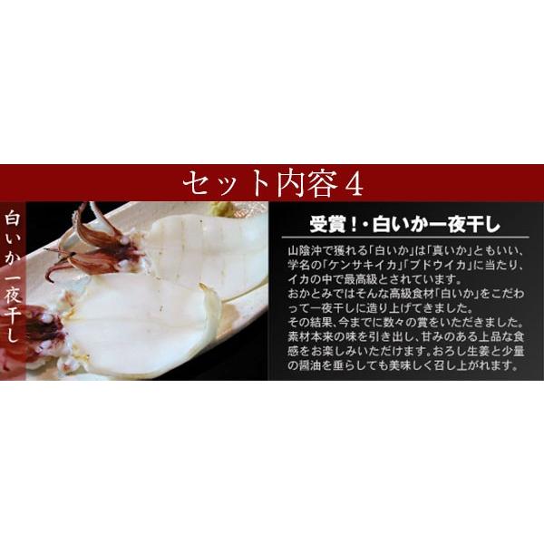 日本海厳選地魚一夜干「一日漁」吉祥天(きっしょうてん) 甘鯛・のどぐろ・白いか(またはするめいか)・かれい 岡富商店 のし対応可